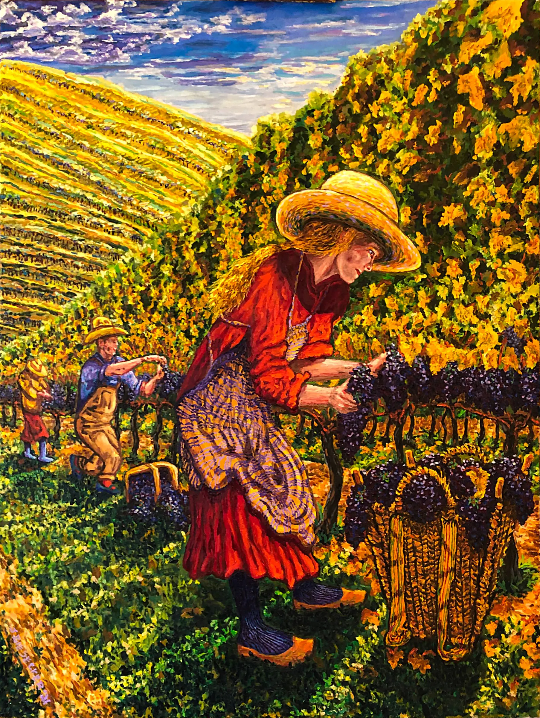 Vineyard Harvest At Bayernmoor